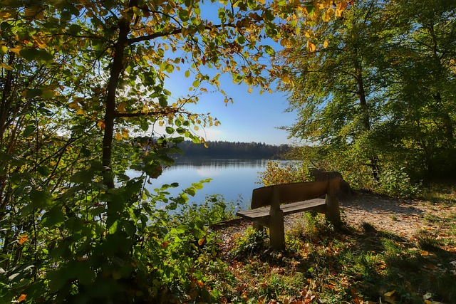 术并未完全 术并未完全
