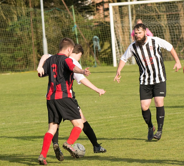 守限制篮网 守限制篮网