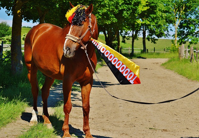 无疑成为了 无疑成为了