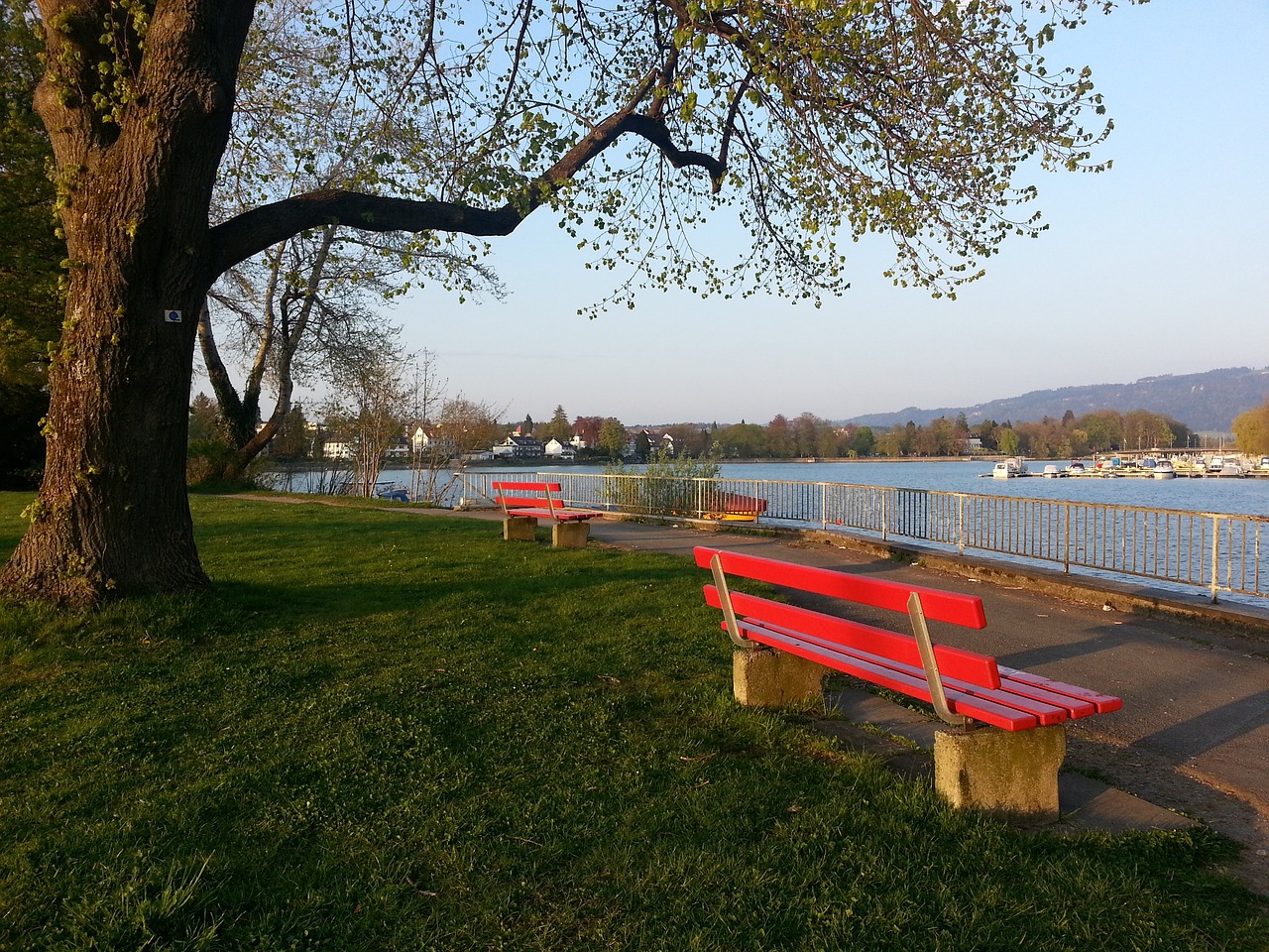 比如国民偶 比如国民偶