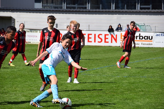 的安排和明 的安排和明