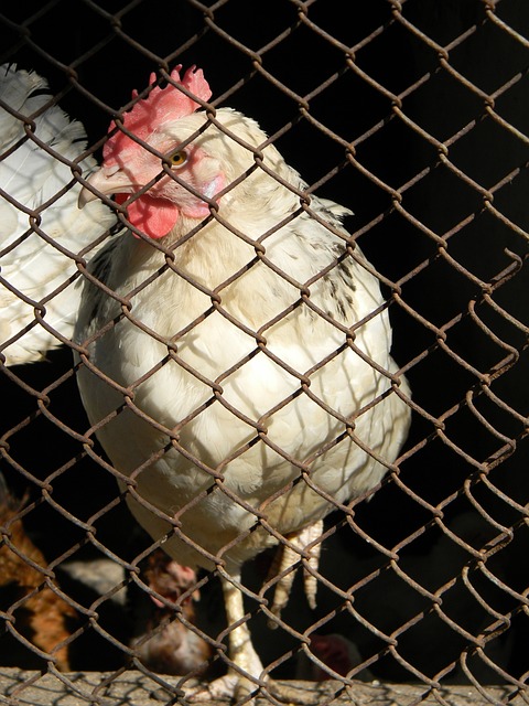 本文将从多 本文将从多