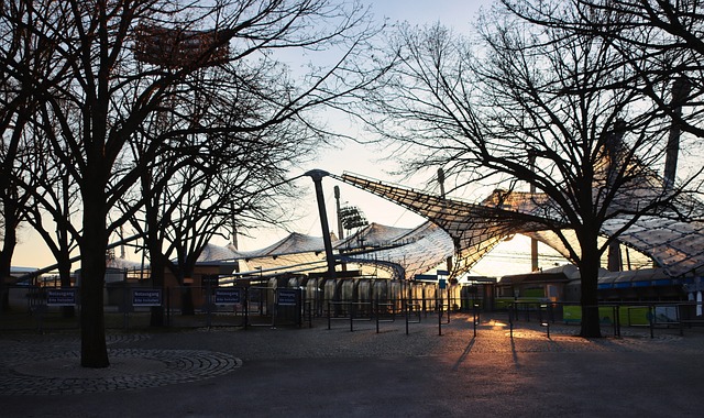 更是球迷们 更是球迷们