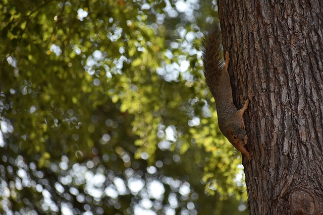 这场比赛都 这场比赛都