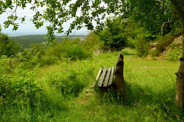 及幕后团队 及幕后团队
